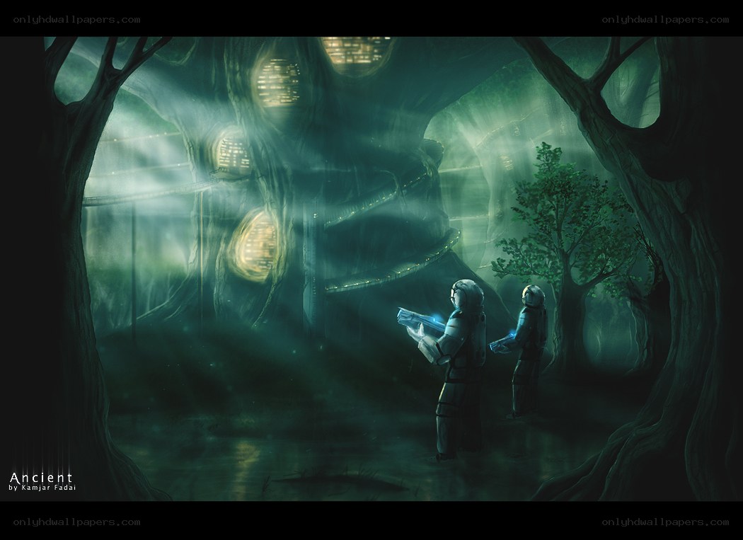 Explorers in ancient forest