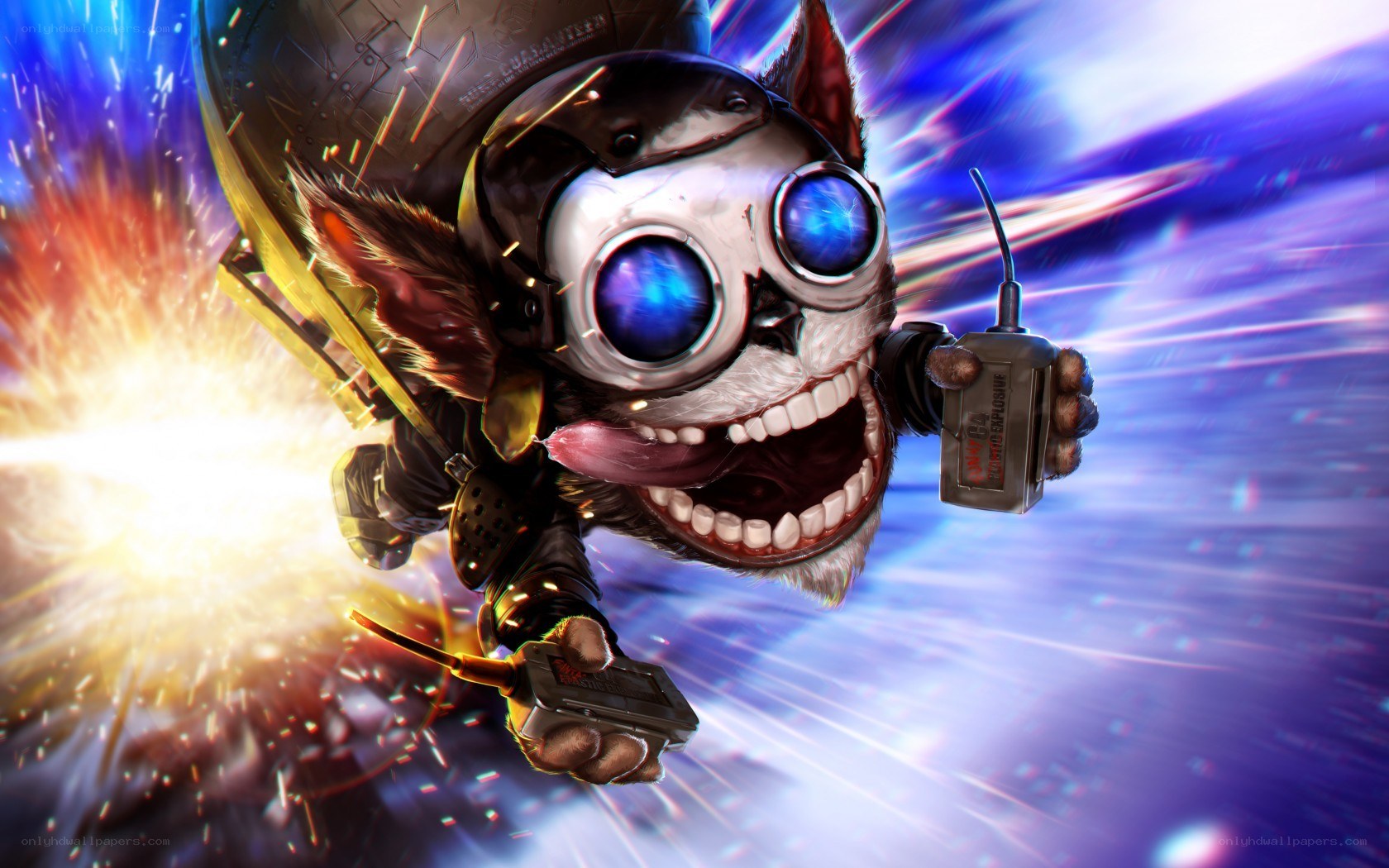 explosive cat character