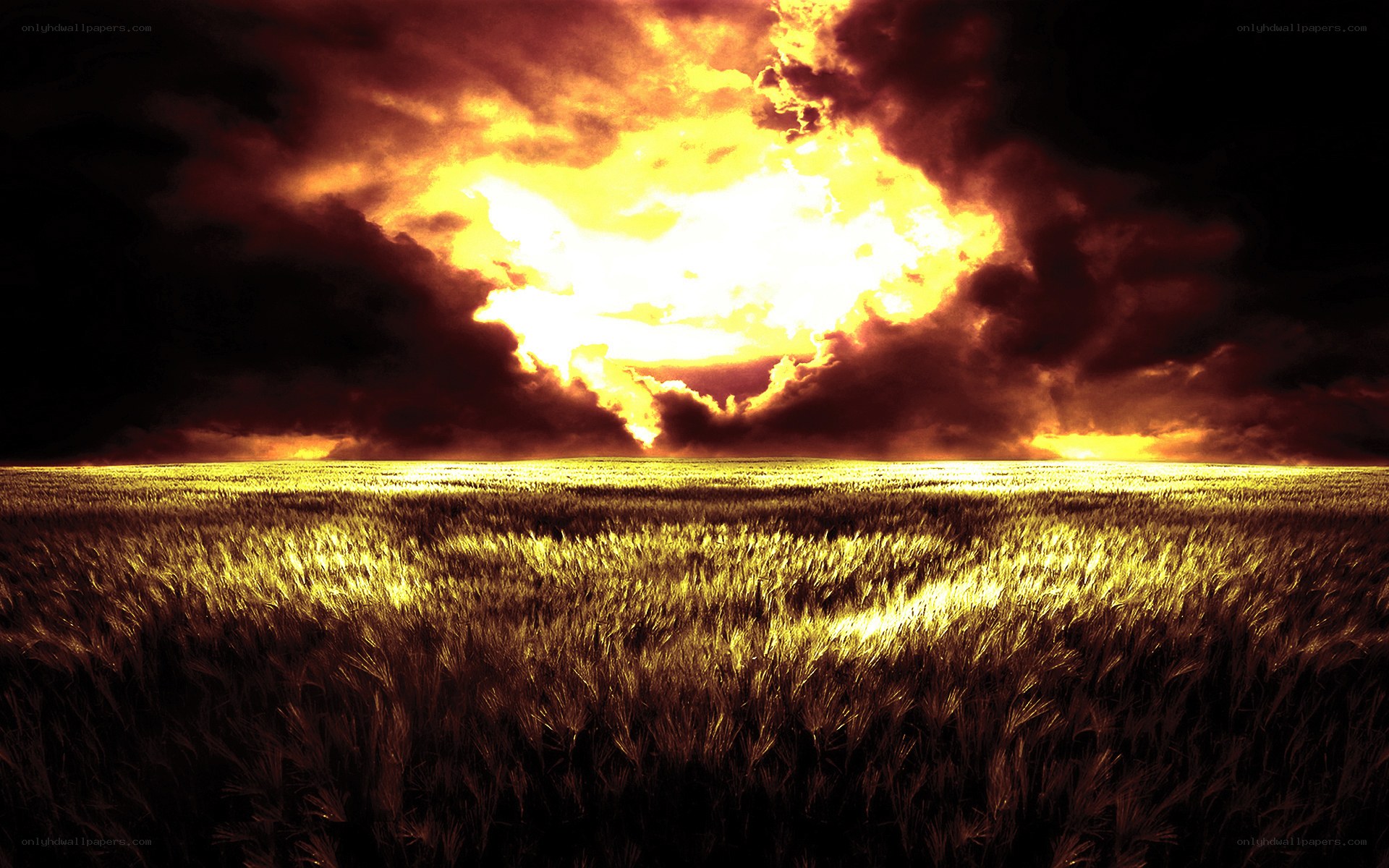 Explosive sky over wheat field