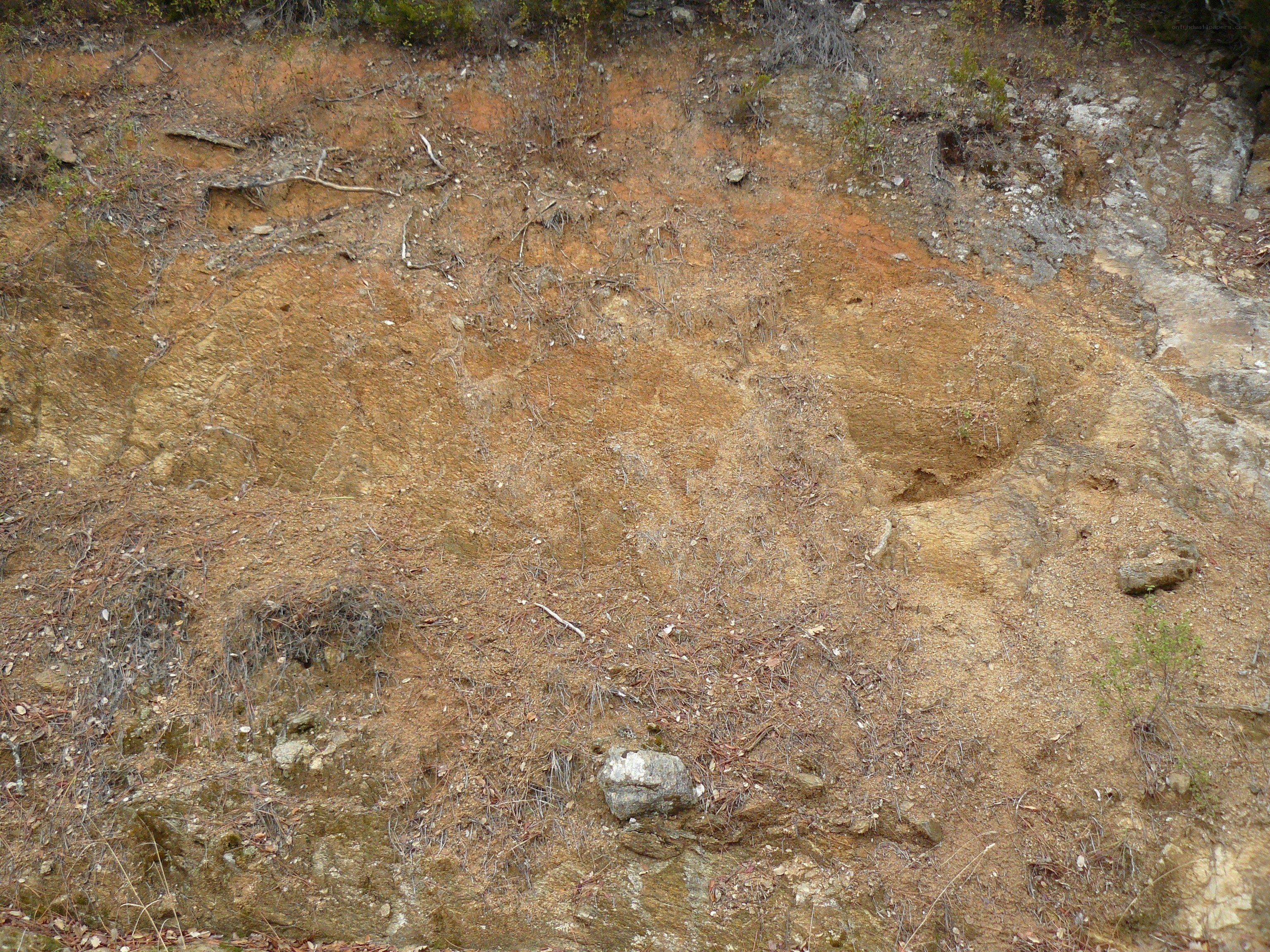 Exposed soil and rock formation