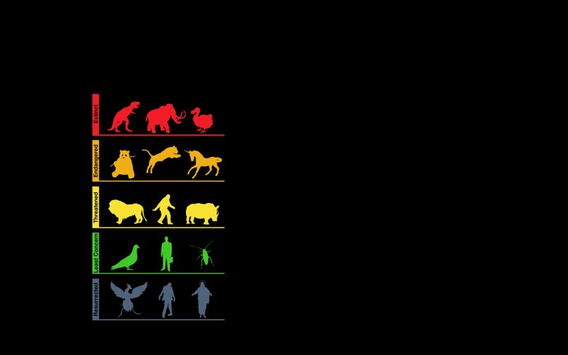 Extinct and Endangered Species Chart
