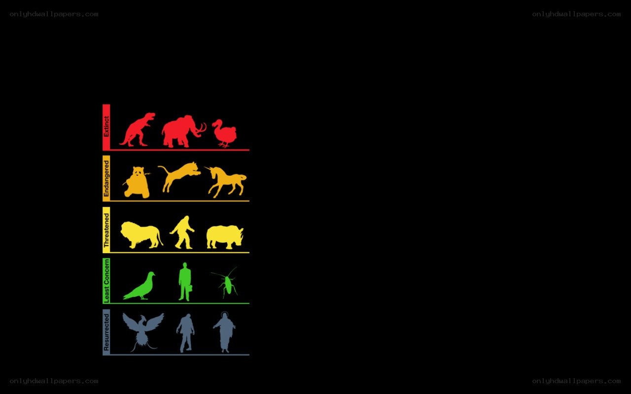Extinct and Endangered Species Chart