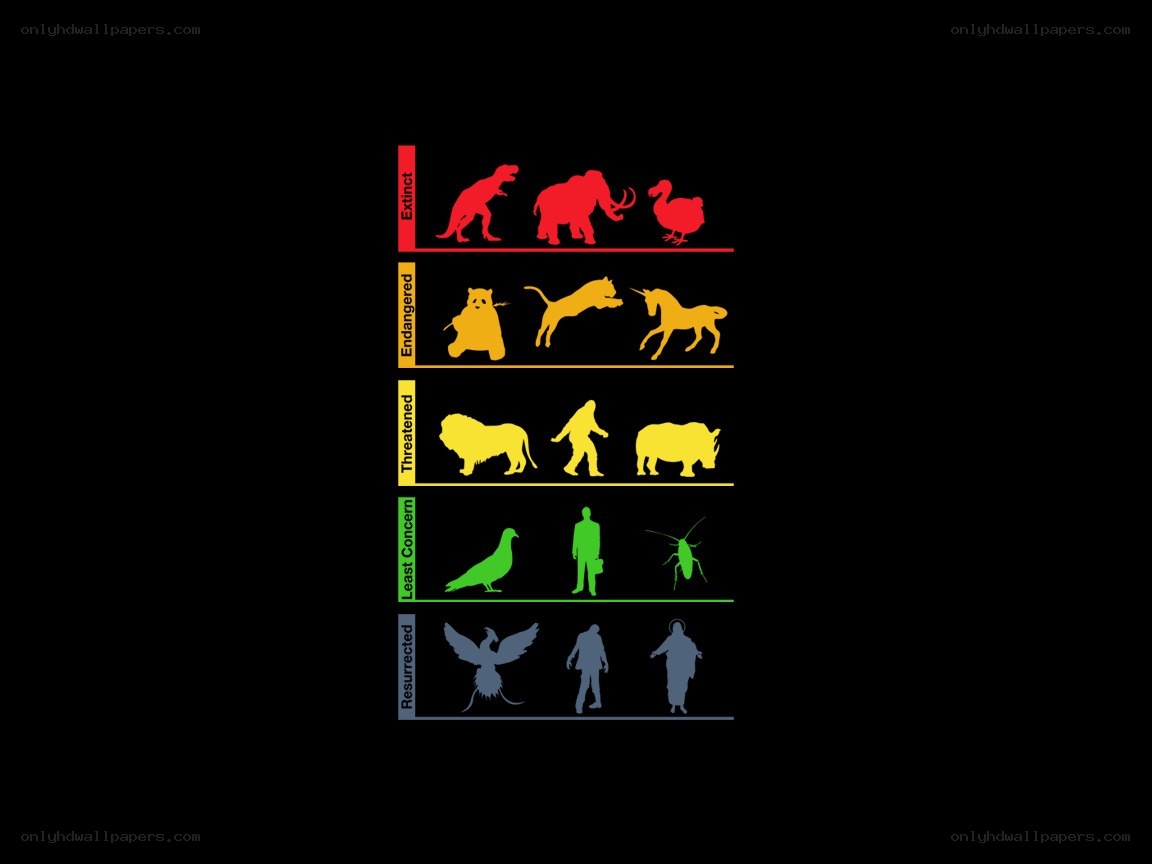 Extinct and Endangered Species Chart