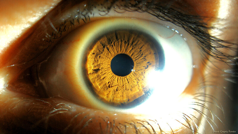 extreme close-up of a human eye