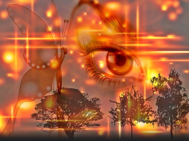 Eye and Butterfly