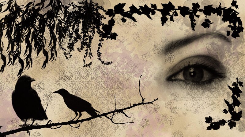 eye and crows on branch