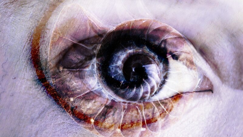 eye and nautilus shell overlay