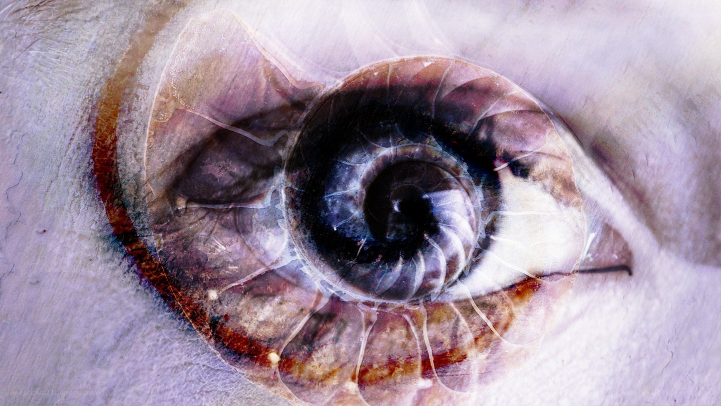 eye and nautilus shell overlay