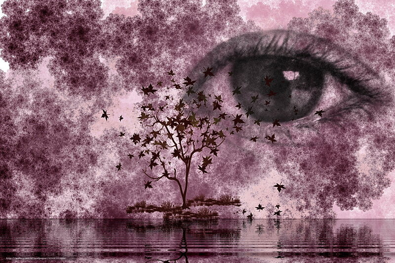 eye and tree reflection