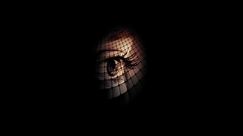 Eye Behind Mesh Screen