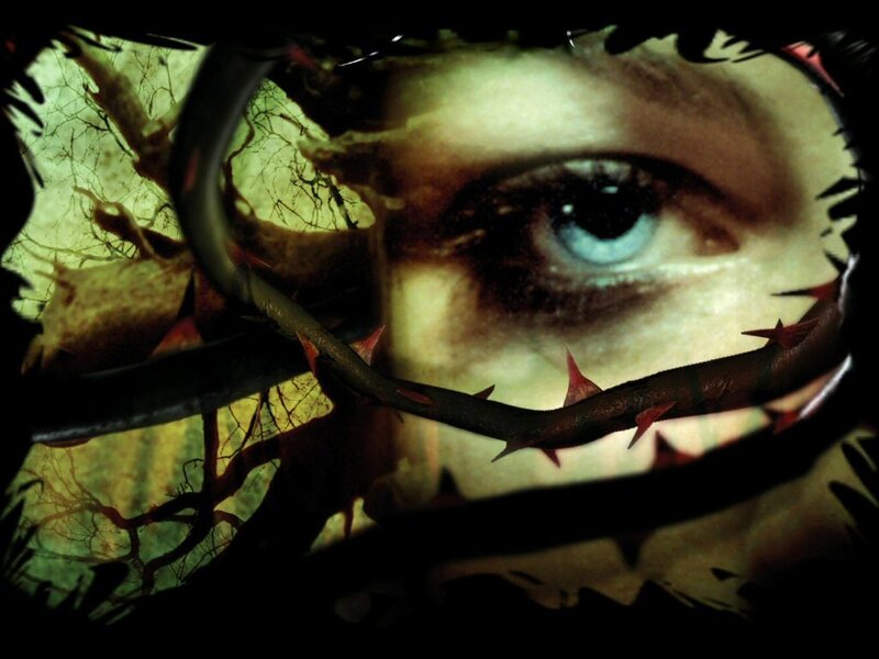 eye behind thorny branches
