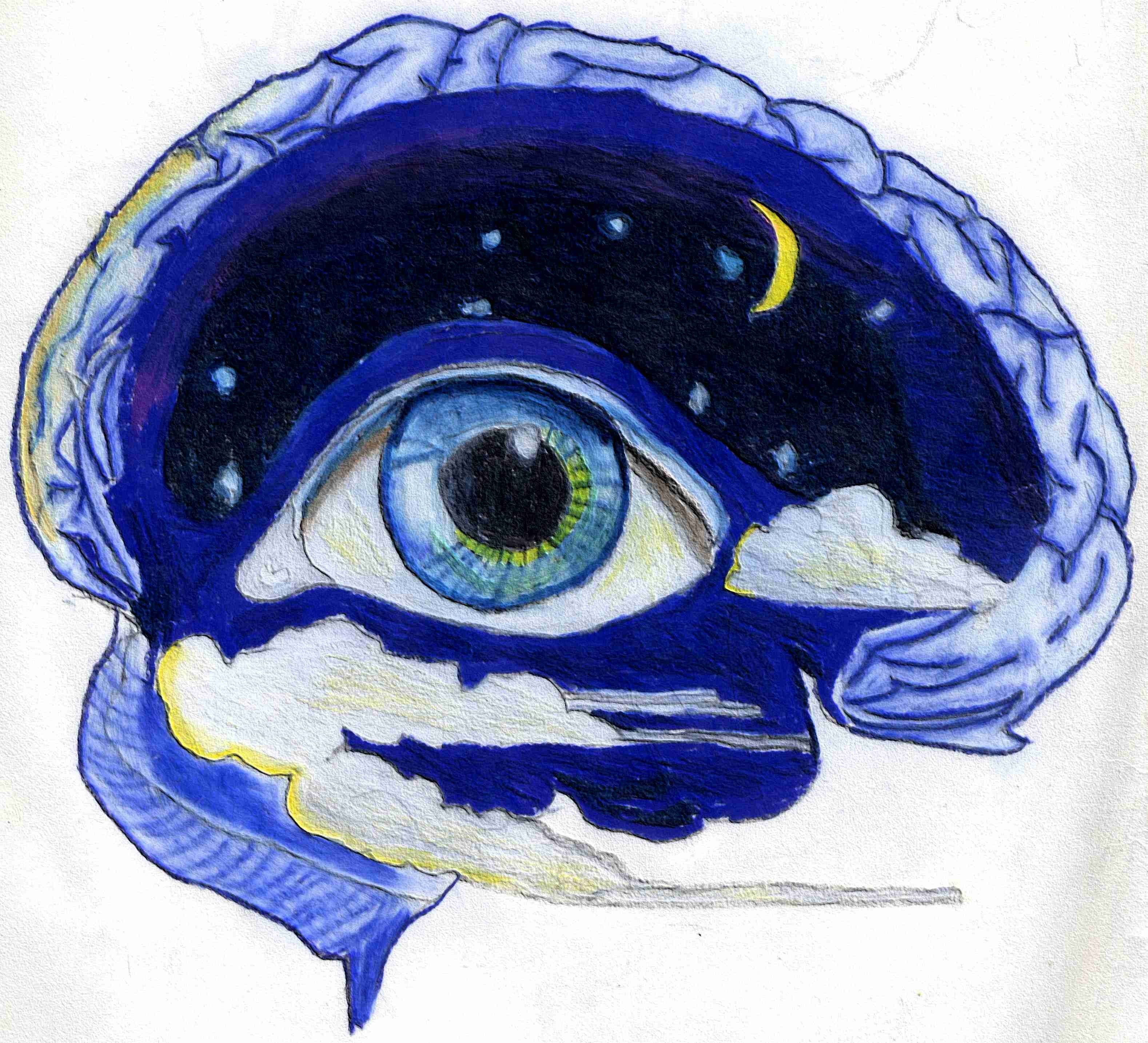 eye in a brain with night sky
