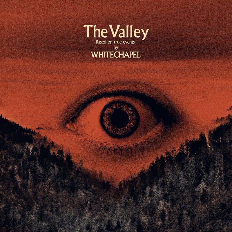 Eye in Forest Landscape