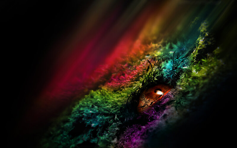 Eye in Moss