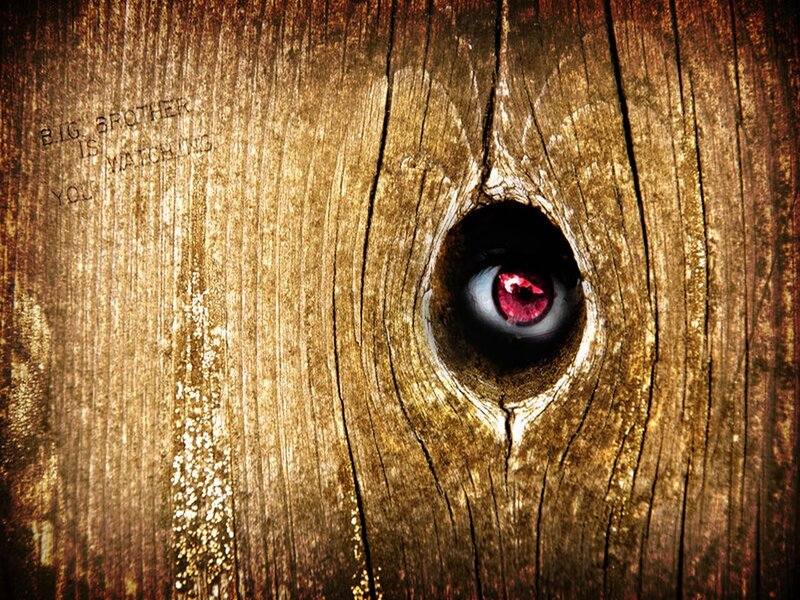 Eye in Wooden Hole