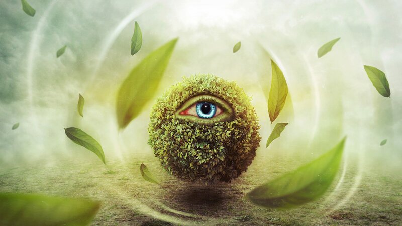 Eye Made of Leaves