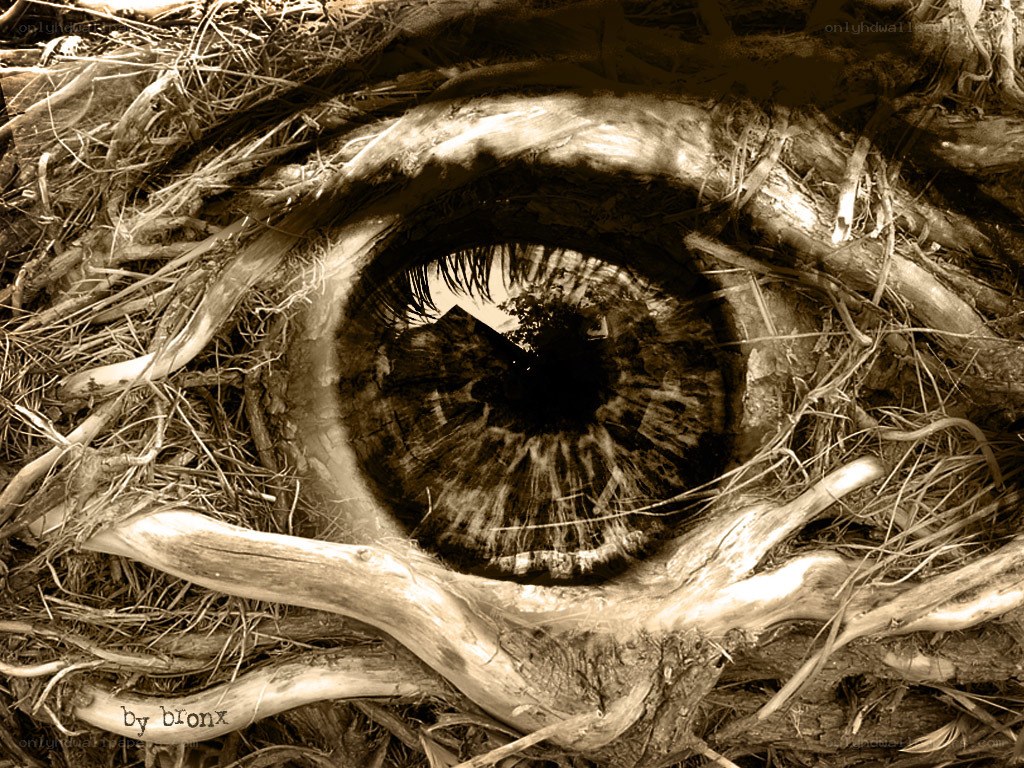 eye made of roots