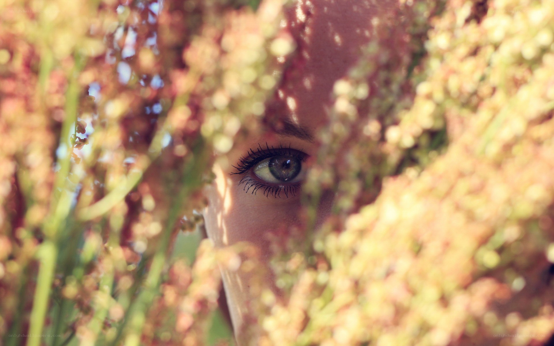 eye peeking through plants