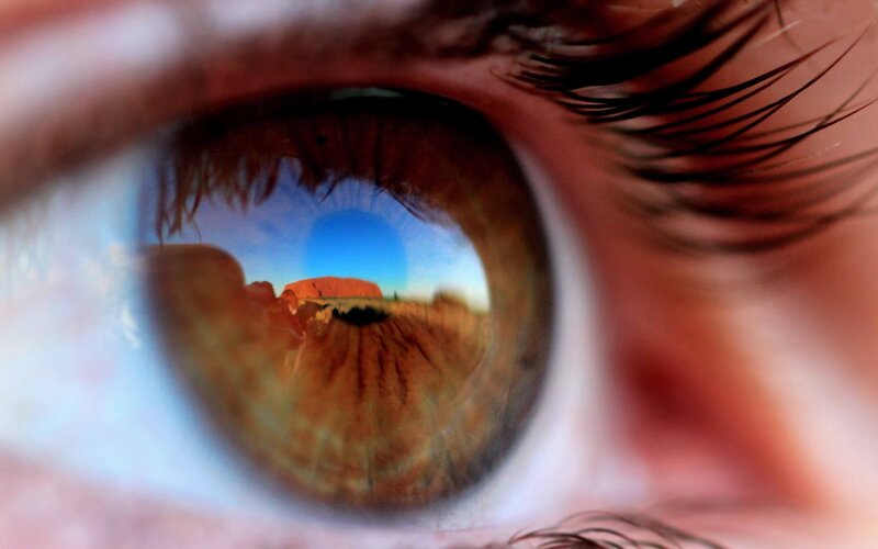 Eye Reflecting Landscape — Brown