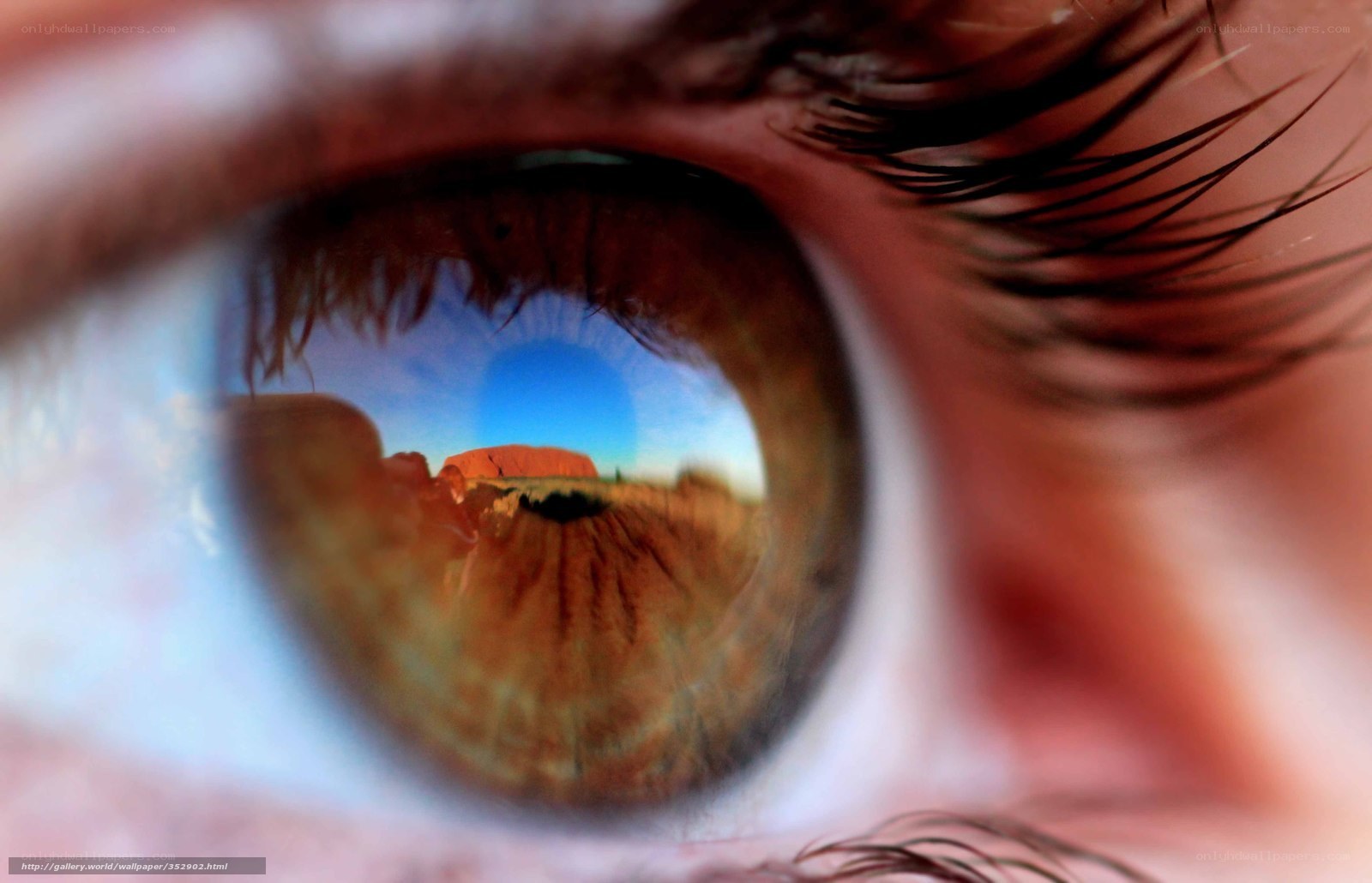 Eye reflection of Uluru