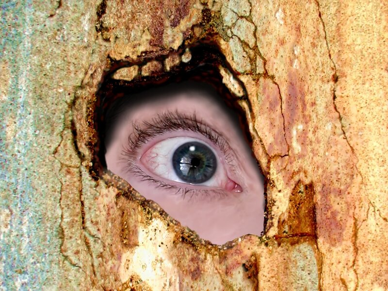 Eye Through Hole