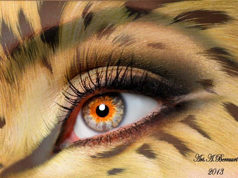 Eye with Animal Makeup