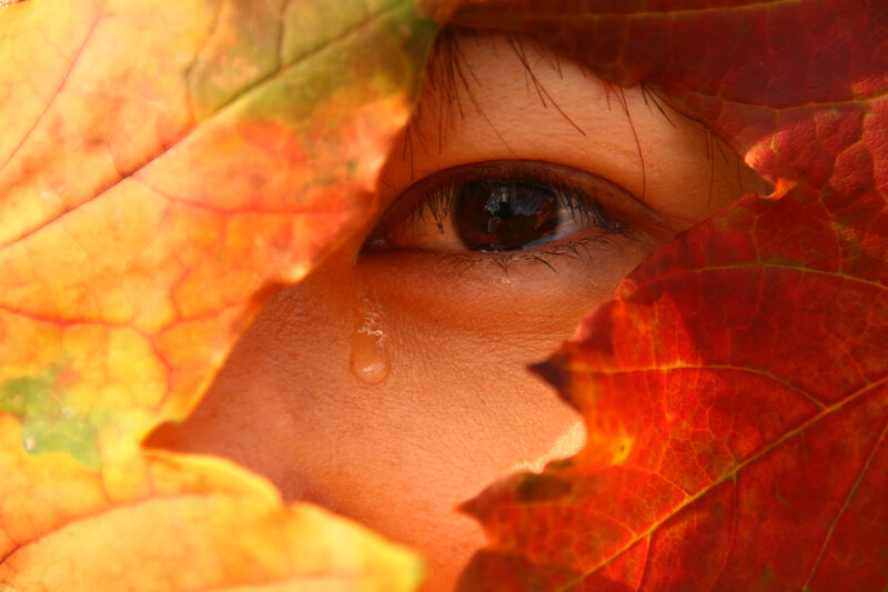 eye with autumn leaf