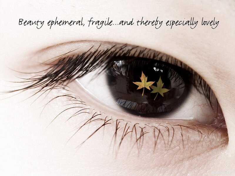 eye with autumn leaves