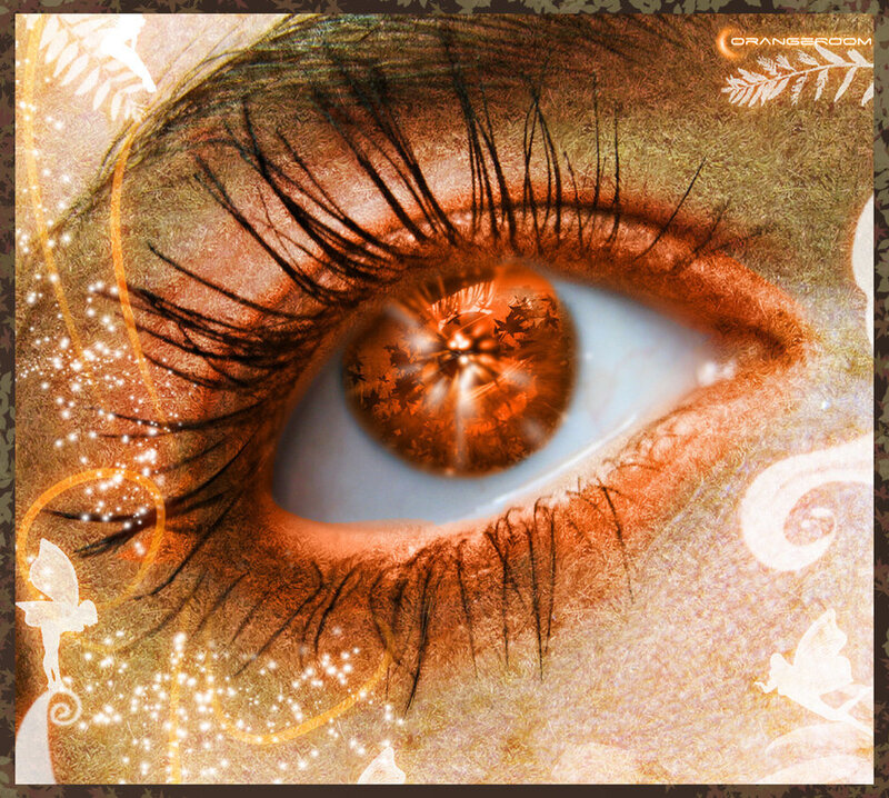 eye with autumn reflection
