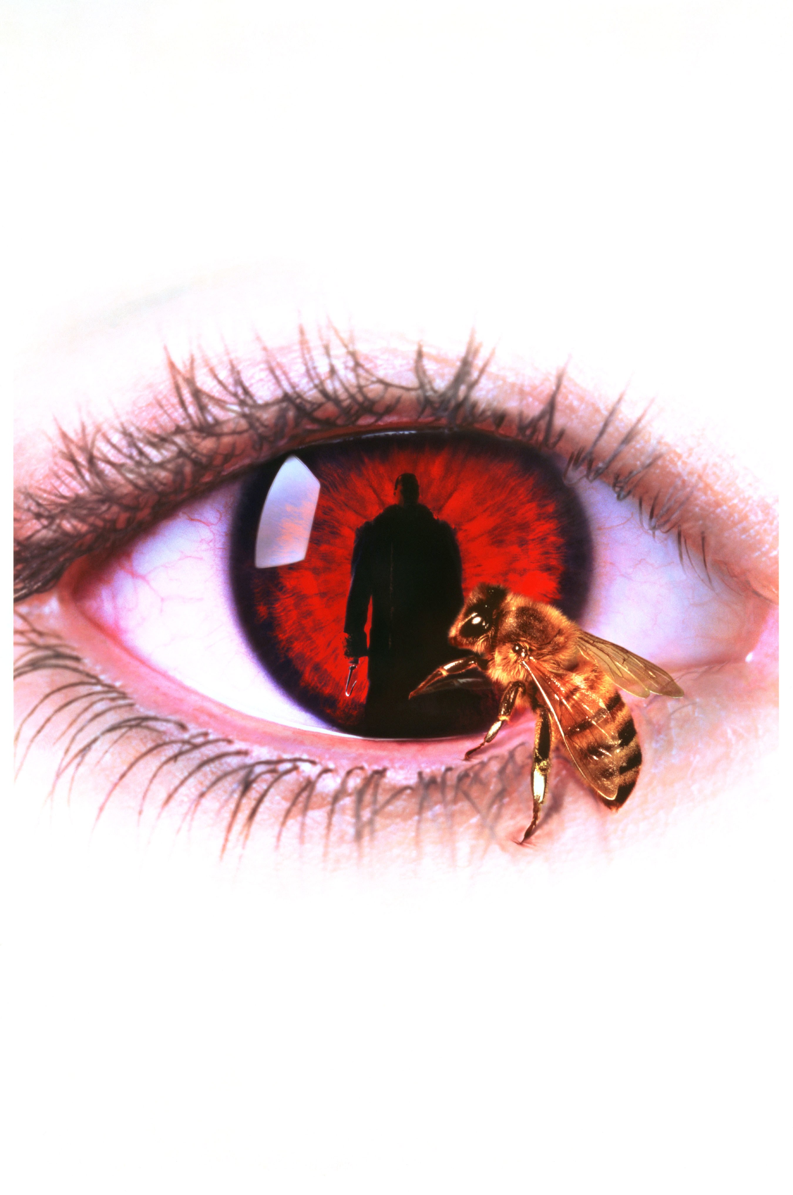 Eye with bee and reflection