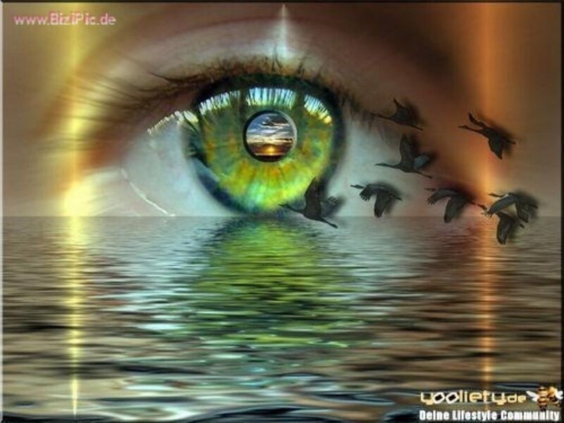 Eye with birds and sunset reflection