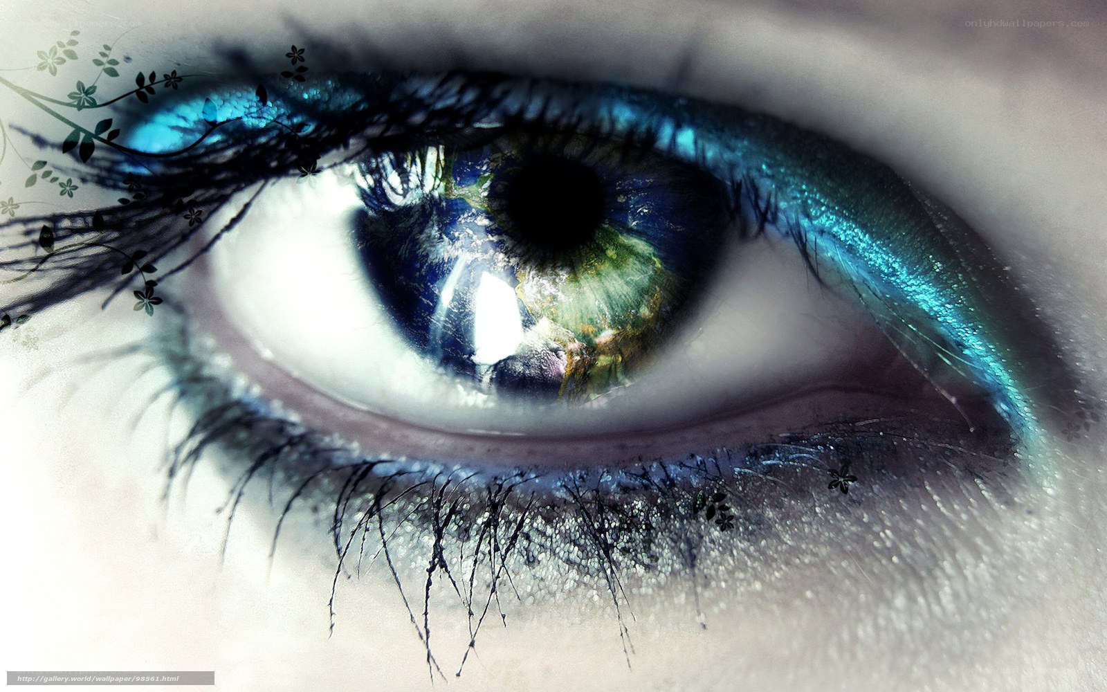 eye with blue and green iris