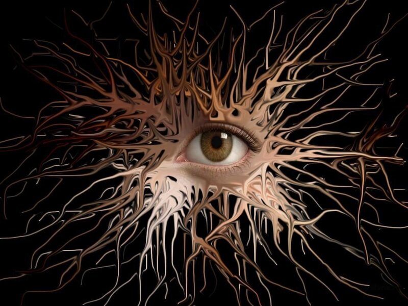 Eye with Branching Structures
