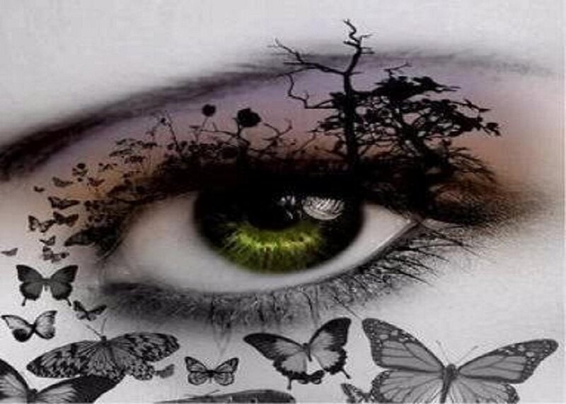 eye with butterflies and tree