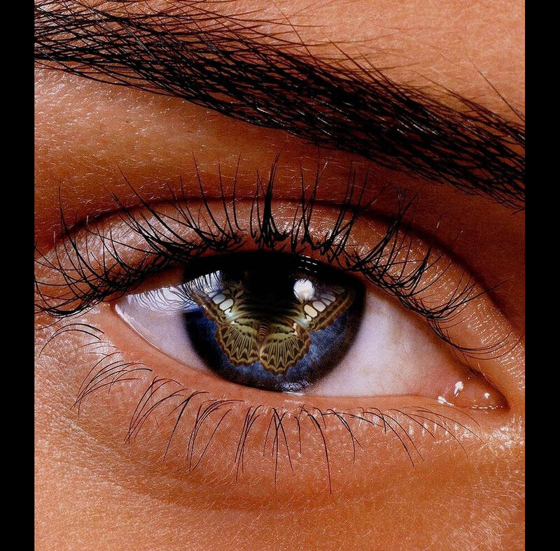 eye with butterfly reflection