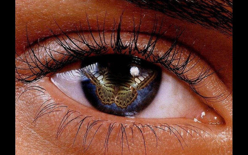 eye with butterfly reflection