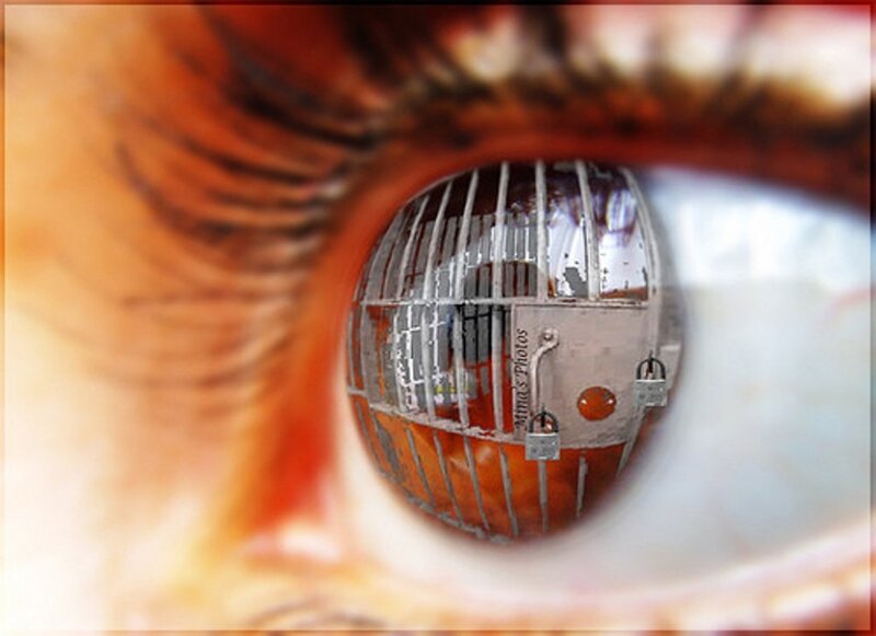 Eye with Cage Reflection