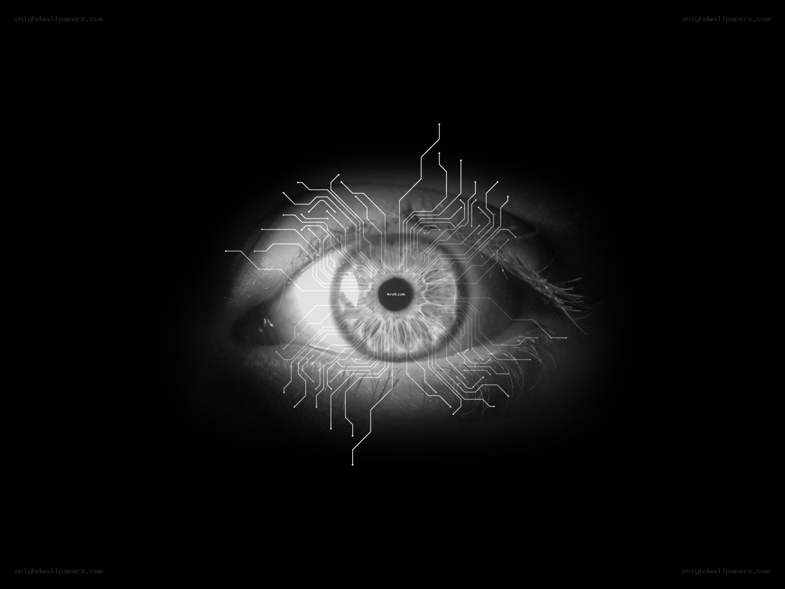 eye with circuit board overlay