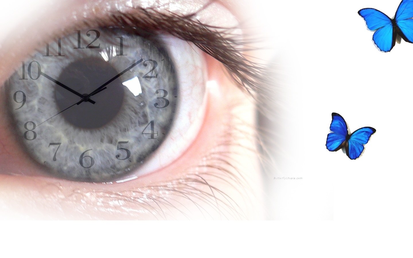 eye with clock and butterflies