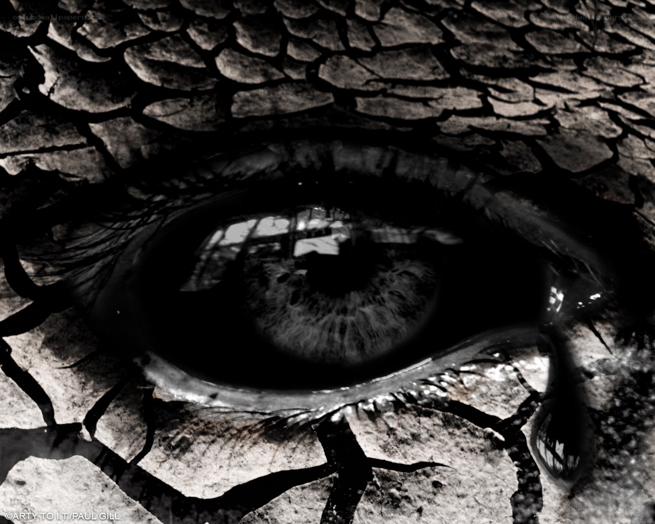 eye with cracked earth texture