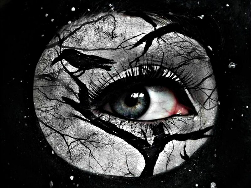 Eye with Crow and Branches