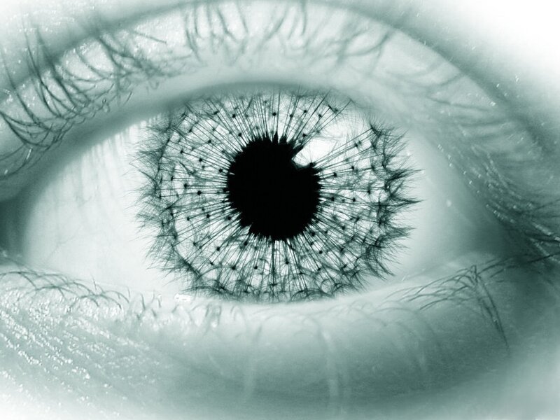 eye with dandelion pupil