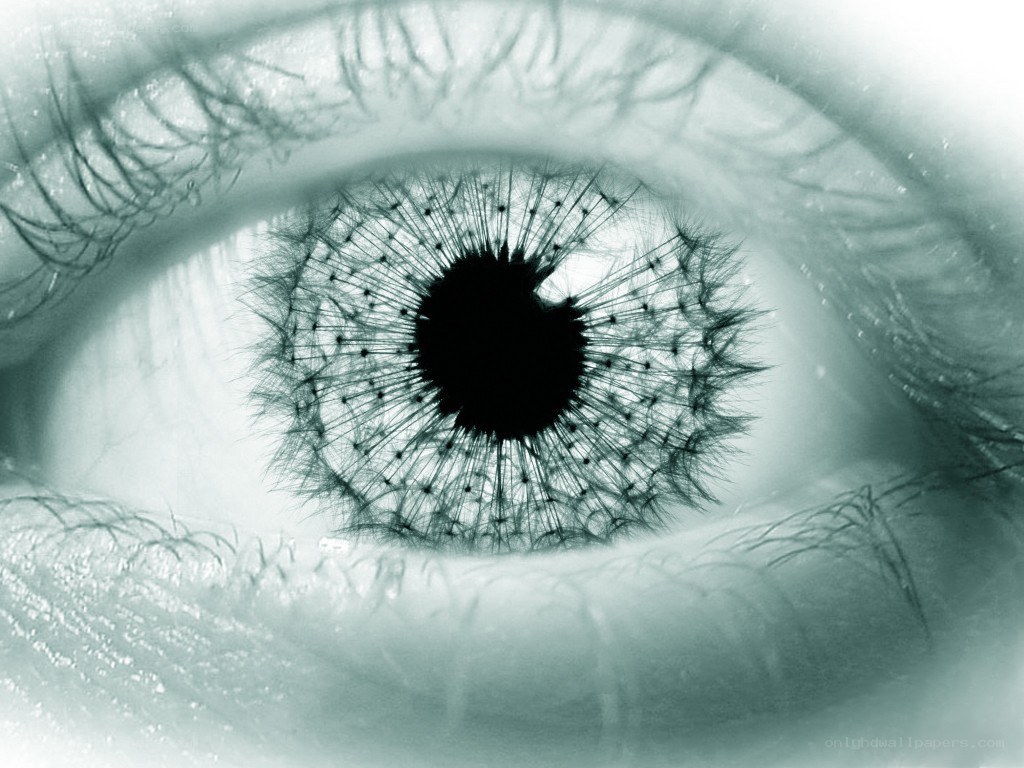 eye with dandelion pupil