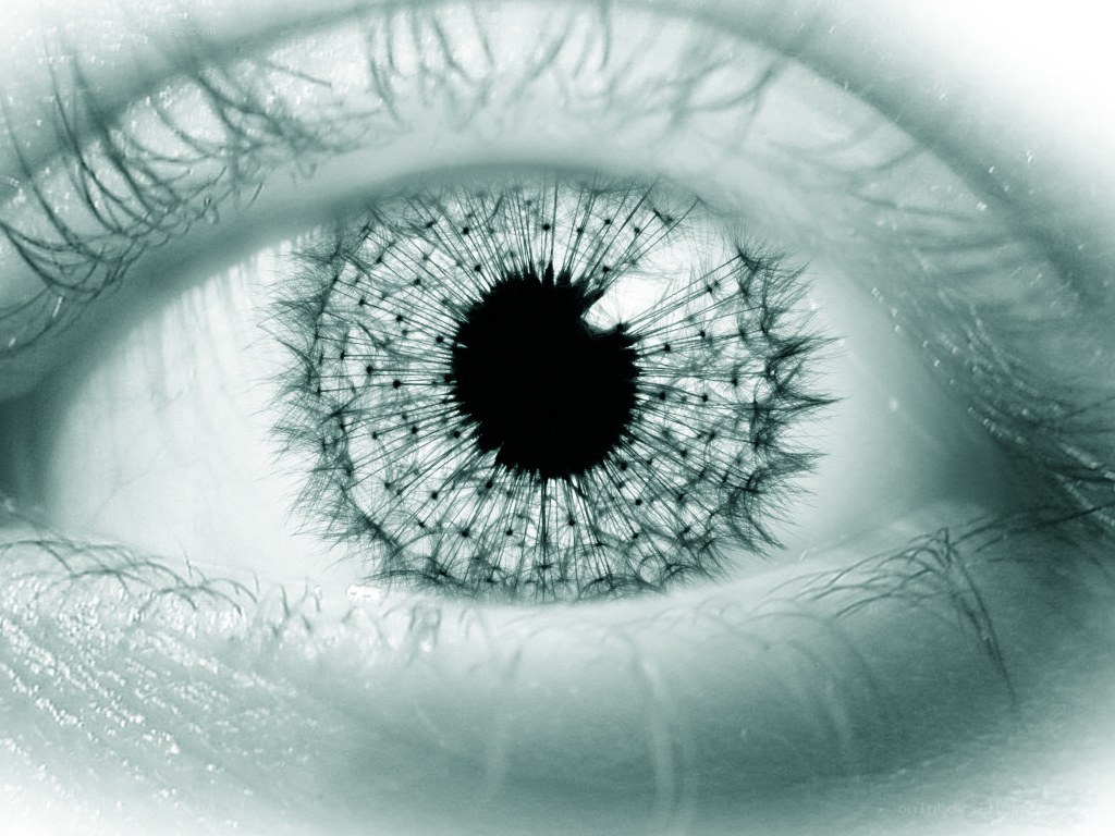 eye with dandelion pupil