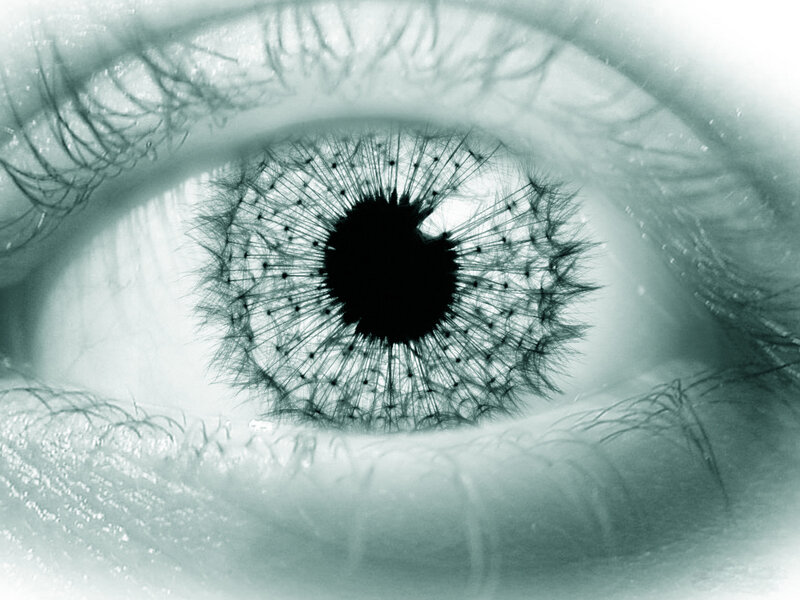 Eye with Dandelion Seed