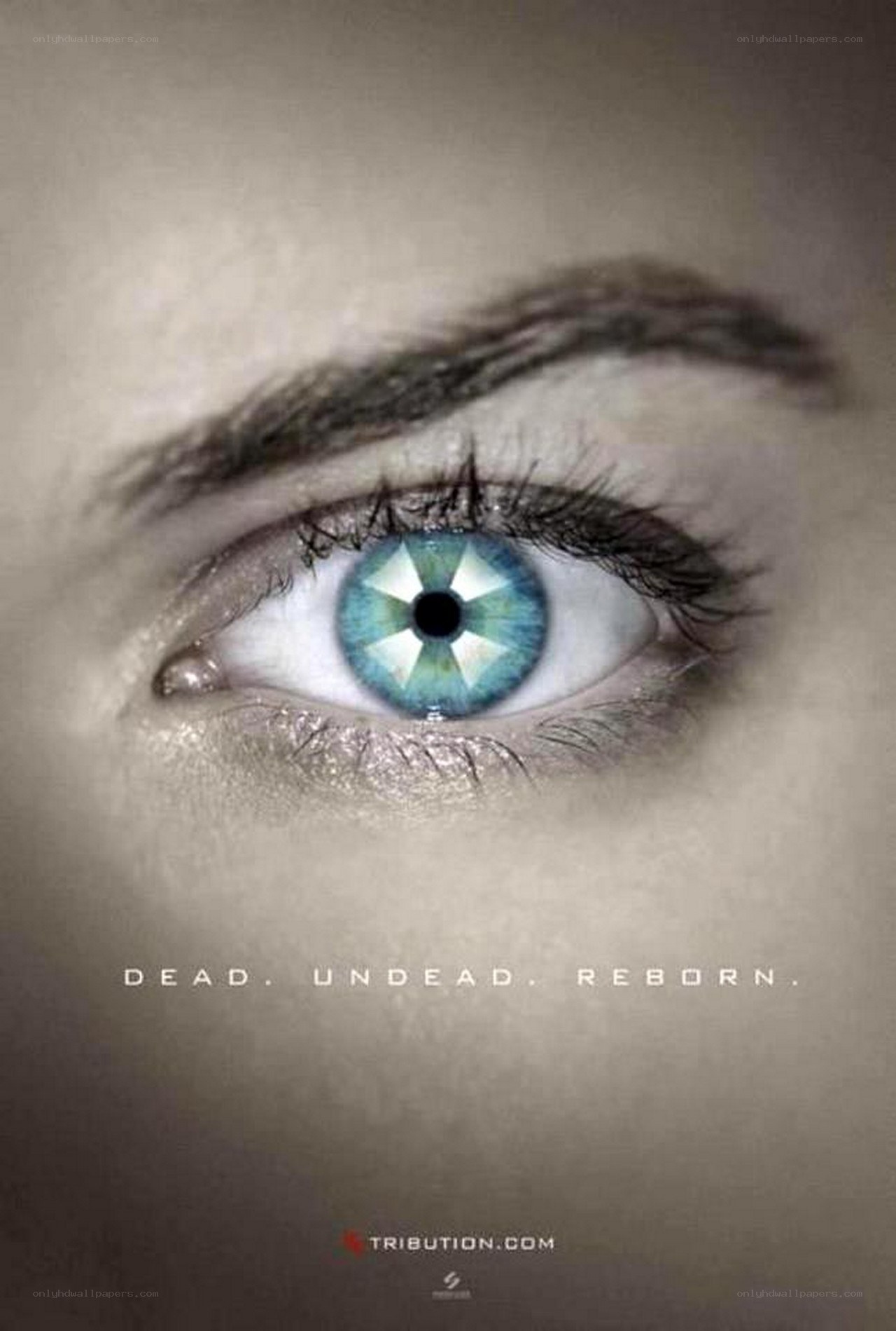 eye with digital iris