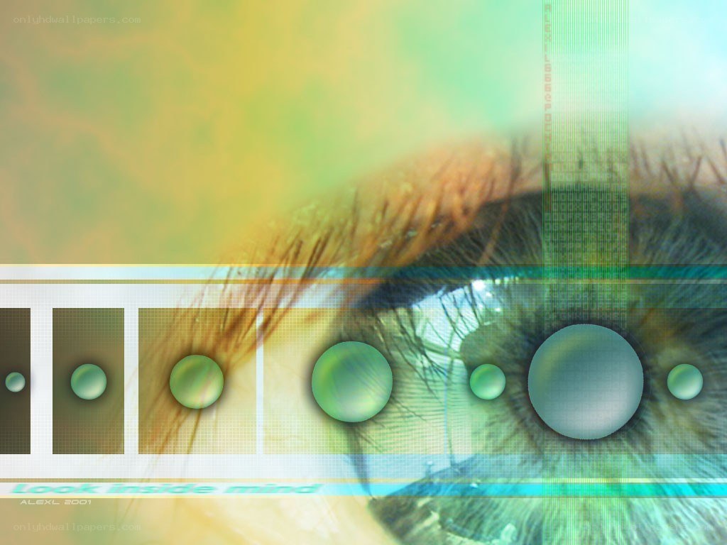 Eye with digital overlay