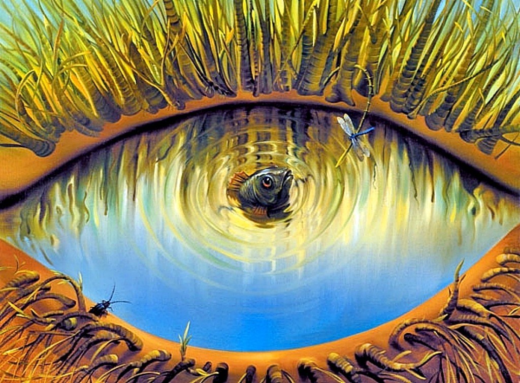 Eye with fish in pupil