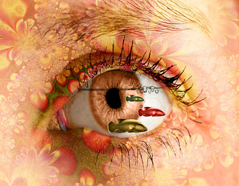 Eye with fish underwater