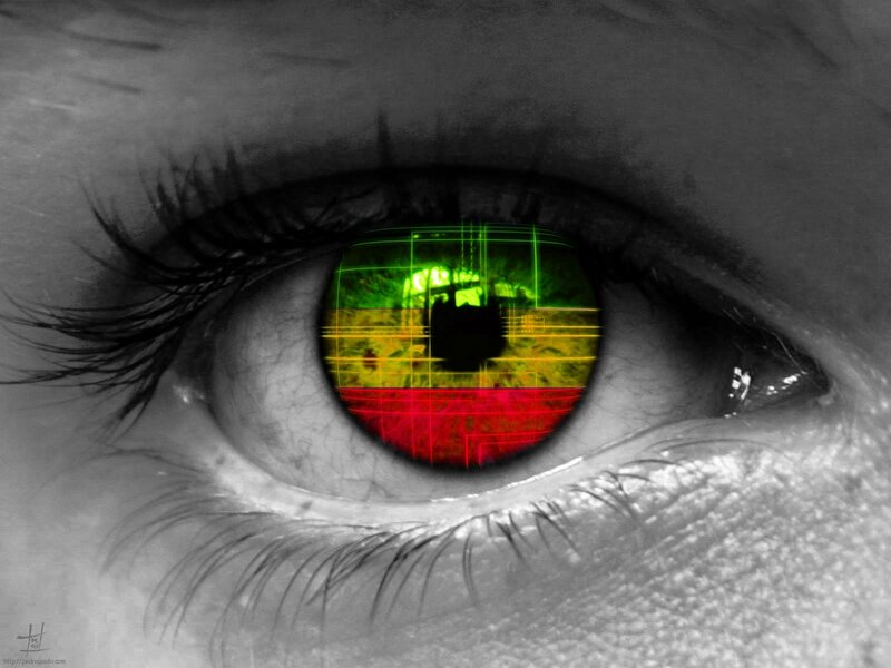 Eye with Flag Reflection — Green